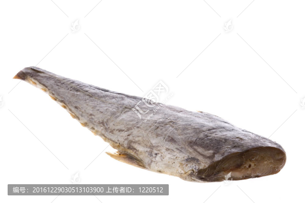 咸魚中分離