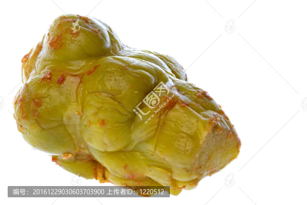榨菜根