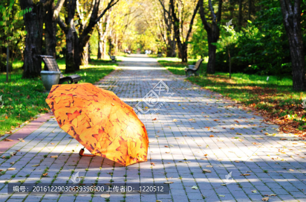 公園里的雨傘