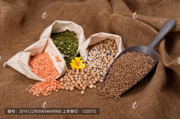 小扁豆，豌豆和豆類；