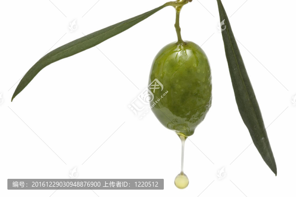 橄欖油39。