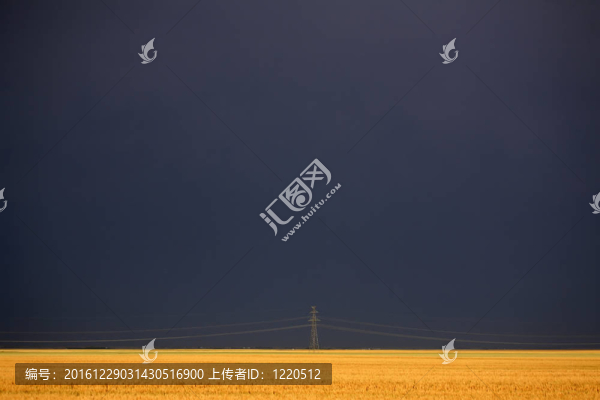 黑暗的天空背后的權(quán)力塔和麥田
