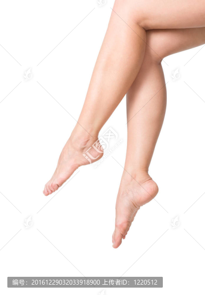 性感的女人的腿