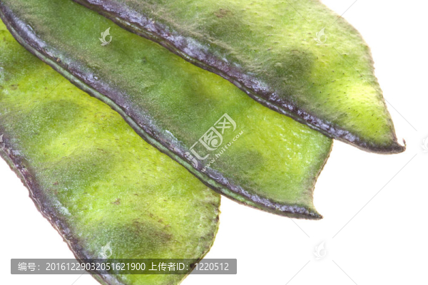 扁豆分離