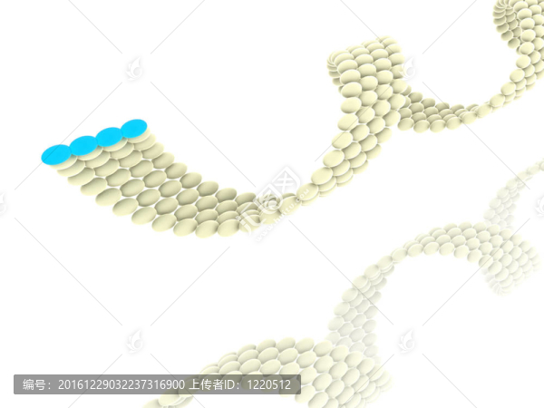 基因在DNA