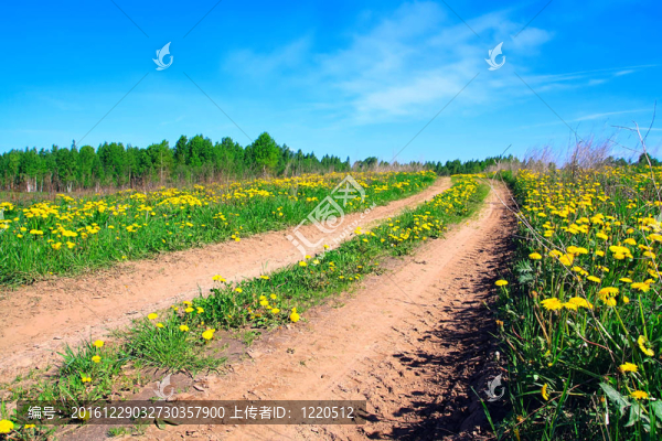 農(nóng)村公路