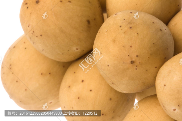 浪沙果實(shí)中分離
