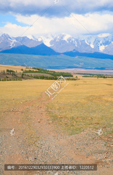 在山區(qū)草原路