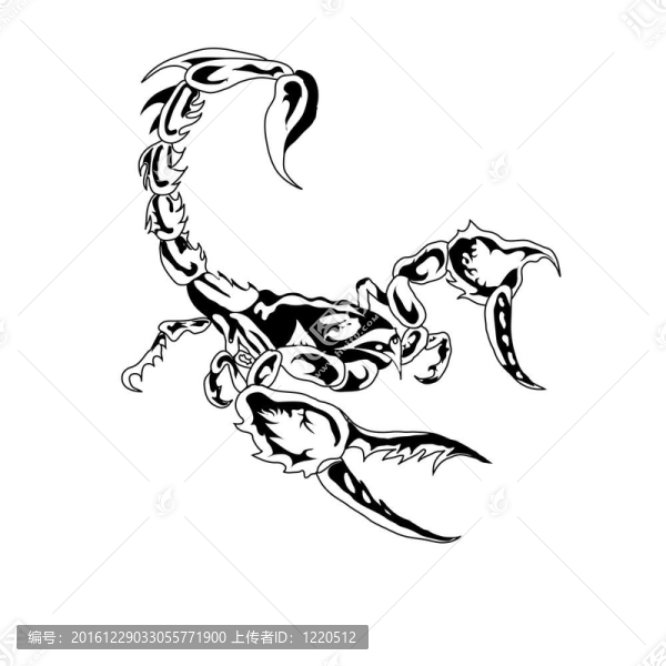 它是黑色的白色蝎子