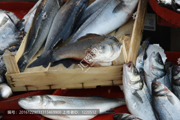 魚市場