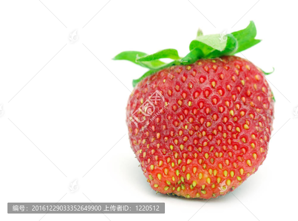 草莓