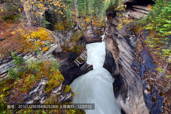 Athabasca,Falls,Gorge,-加拿大
