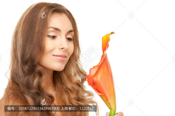 美麗的女人calla,flower