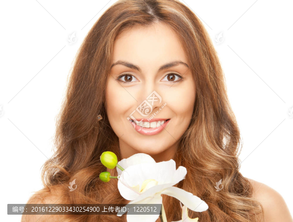 花蘭花美女