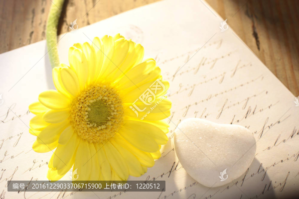 石頭心與信與花