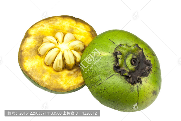 黑果