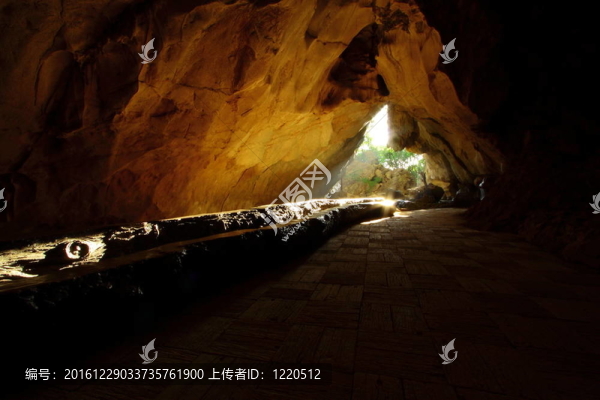 去爭(zhēng)取陽(yáng)光，留下黑暗