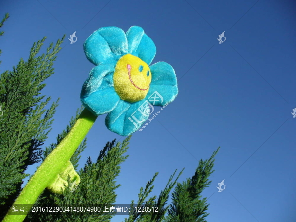 微笑的花