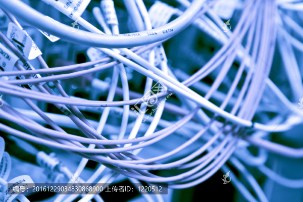 連接到服務(wù)器的電纜
