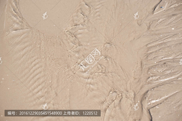 桑迪海灘