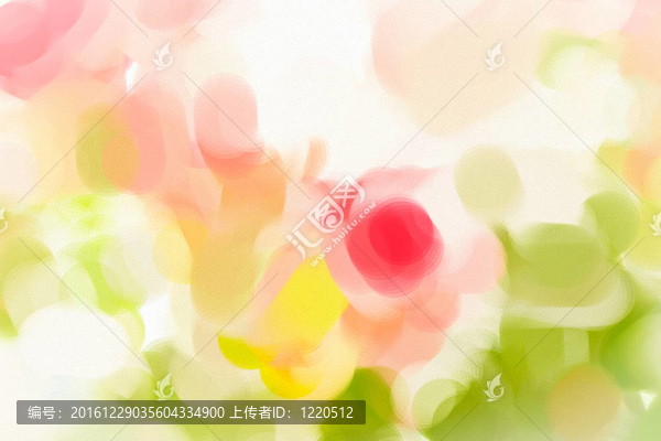摘要玫瑰