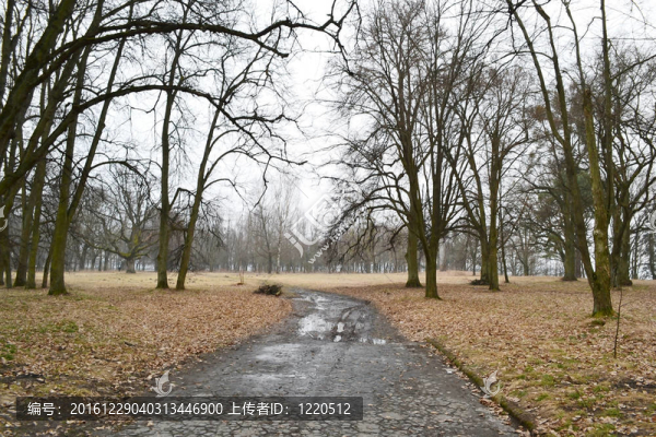 在Stolin鎮(zhèn)公園