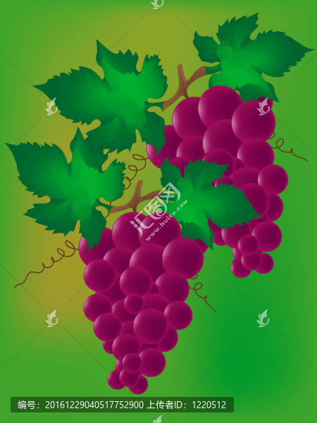 紅酒葡萄