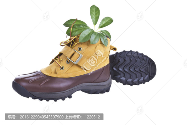 遠足靴與自然