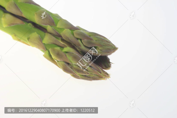 白底蘆筍