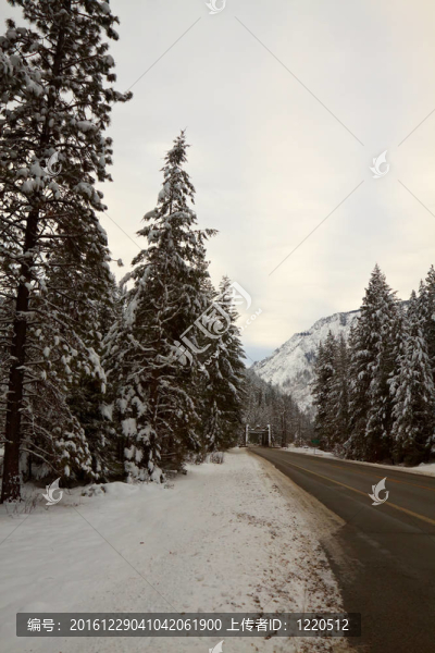 Winter山路