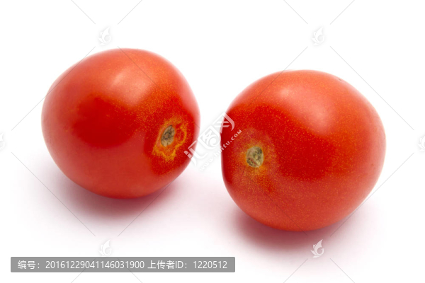 新鮮的西紅柿