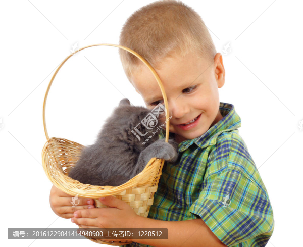 灰色的小貓?jiān)诹鴹l的小男孩；白色隔離