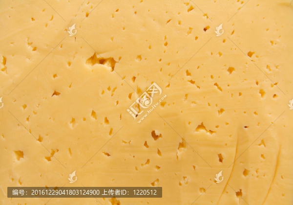 帶孔的新鮮黃瑞士干酪的背景