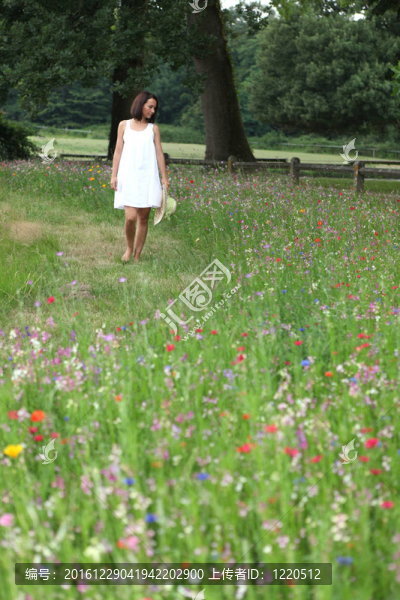 夏日的女人走過一個(gè)漂亮的野花的草地上