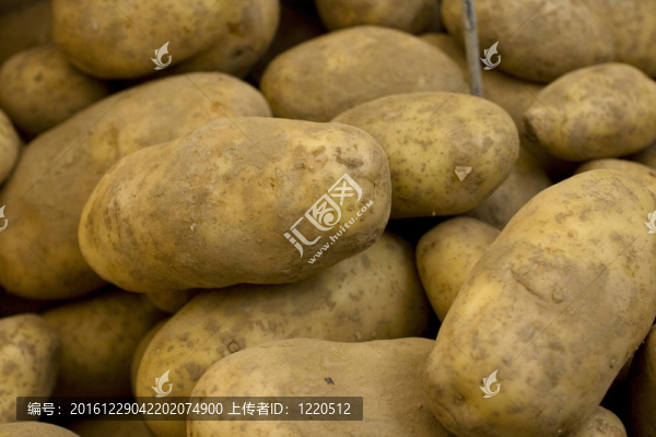 土豆