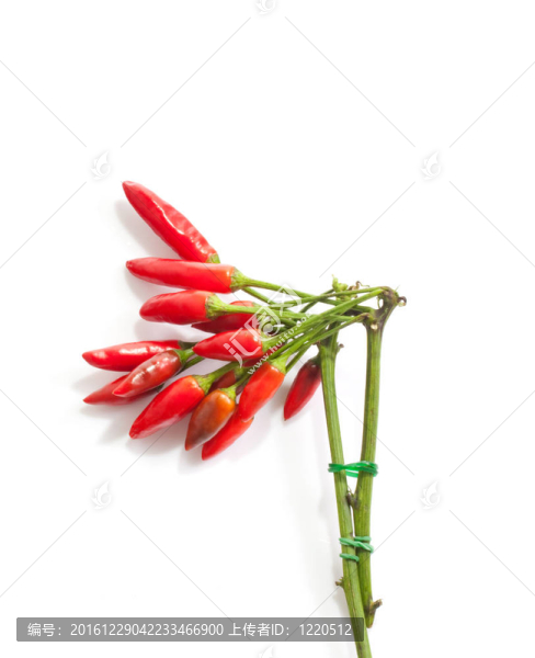 紅辣椒辣椒