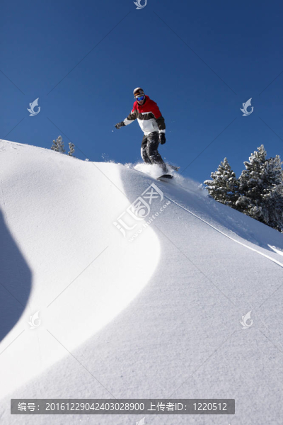 男子單板滑雪下山