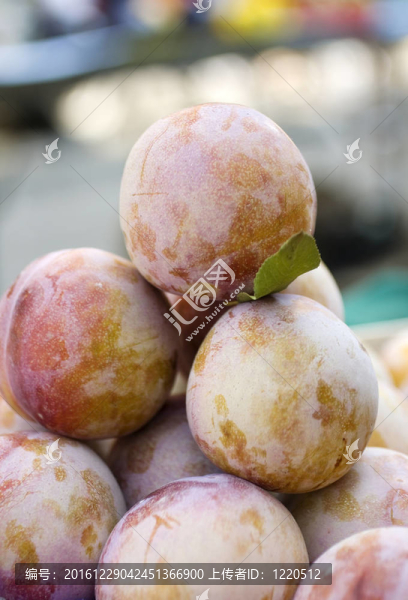 李子