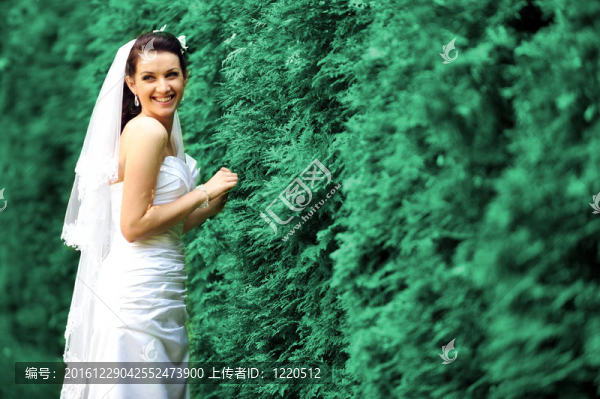 美麗的新娘