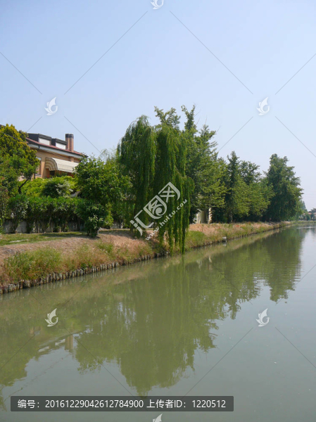 Padua；意大利