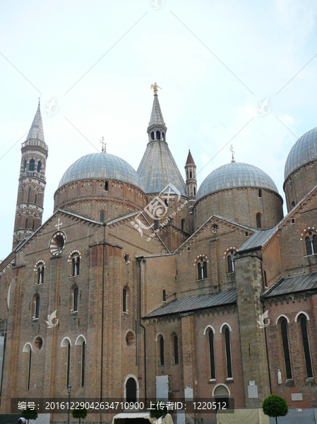 Padua；意大利