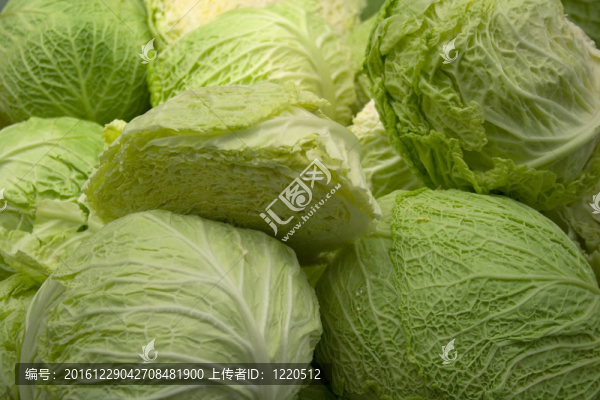 白菜