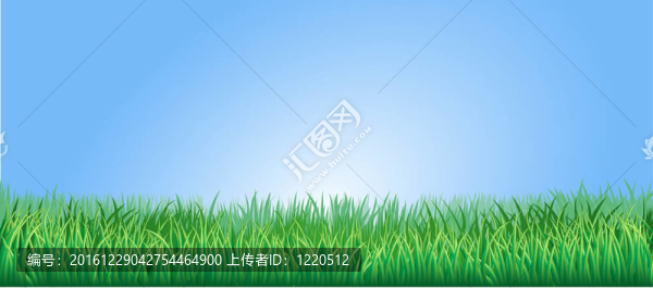 郁郁蔥蔥的綠草插圖