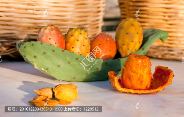 西西里去皮仙人掌