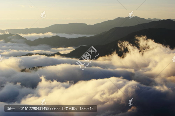 驚人的海云