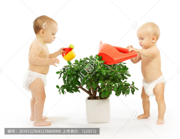 兩個孩子一起澆花。