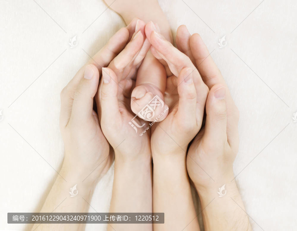 父母抯手里拿著寶寶的手