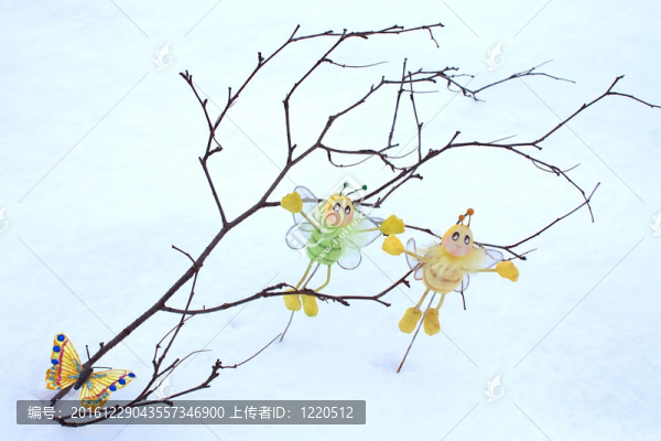 雪中樹枝上的蝴蝶