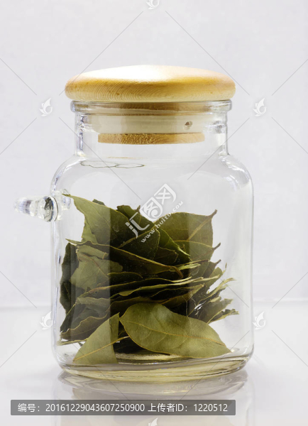 月桂樹葉