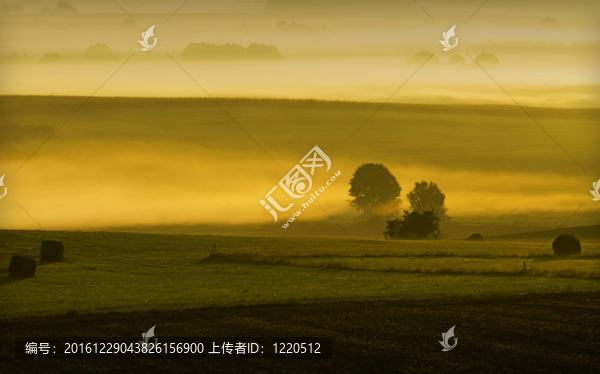 黎明-匯圖網(wǎng) www.fosd68.com 黎明